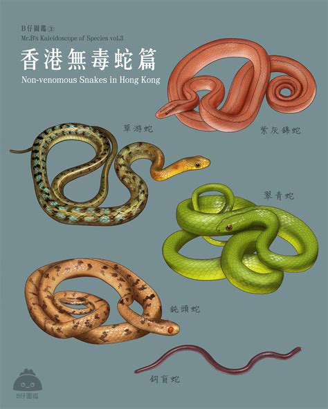 香港蛇 發霉